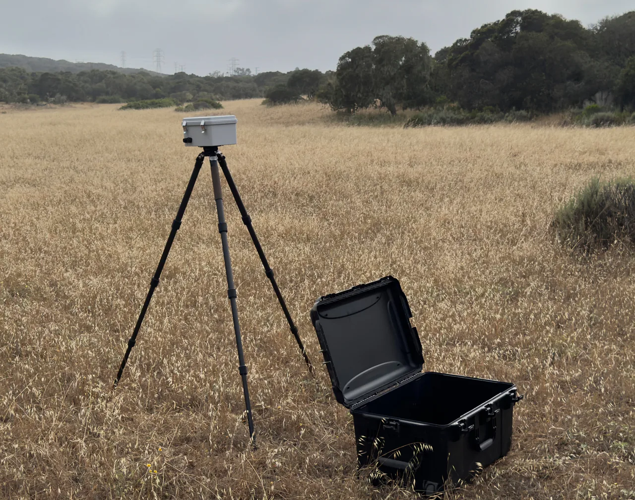A Chorus acoustic sensor mounted on a tripod in a field at Fort Ord, California.